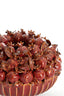 Light & Living Accessories Vase deco 28,5x23 cm POMEGRANATE ceramics burgundy House of Isabella UK