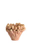 Light & Living Accessories Vase deco 28x20,5 cm FYNARA ceramics light pink House of Isabella UK
