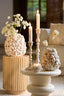 Light & Living Accessories Vase deco 28x30 cm SHELL ceramics textured cream House of Isabella UK