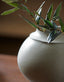 Light & Living Accessories Vase deco 29,5x25,5 cm LOREA ceramics matt cream House of Isabella UK