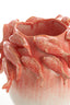 Light & Living Accessories Vase deco 29x28,5x27 cm FISH ceramics coral+cream House of Isabella UK
