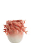 Light & Living Accessories Vase deco 29x28,5x27 cm FISH ceramics coral+cream House of Isabella UK