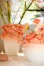 Light & Living Accessories Vase deco 29x28x36,5 cm FISH ceramics coral+cream House of Isabella UK