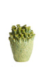 Light & Living Accessories Vase deco 29x33 cm KYRAL ceramics mint green House of Isabella UK