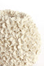Light & Living Accessories Vase deco 31,5x17x28 cm PHYLIA cream House of Isabella UK