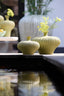 Light & Living Accessories Vase deco 31x29,5x25,5 cm NEVANO matt green House of Isabella UK