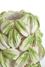Light & Living Accessories Vase deco 32x31,5x36,5 cm CARAMBOLA ceramics cream+green House of Isabella UK