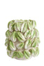 Light & Living Accessories Vase deco 32x31,5x36,5 cm CARAMBOLA ceramics cream+green House of Isabella UK
