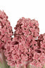Light & Living Accessories Vase deco 35x21x28 cm FLOWER ceramics pink+green House of Isabella UK