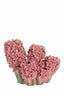 Light & Living Accessories Vase deco 35x21x28 cm FLOWER ceramics pink+green House of Isabella UK