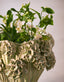 Light & Living Accessories Vase deco 38x32 cm LUSERNA ceramics mint green House of Isabella UK