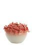 Light & Living Accessories Vase deco 40x27 cm FISH ceramics coral+cream House of Isabella UK