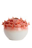 Light & Living Accessories Vase deco 41,5x32 cm FISH ceramics coral+cream House of Isabella UK