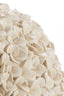 Light & Living Accessories Vase deco 47,5x30 cm PHYLIA cream House of Isabella UK
