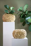 Light & Living Accessories Vase deco 47,5x30 cm PHYLIA gold House of Isabella UK