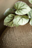 Light & Living Accessories Vase deco 50x20,5x45,5 cm MASHABA green grey House of Isabella UK
