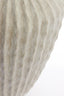 Light & Living Accessories Vase deco 52x65 cm CACTI beige House of Isabella UK
