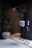 Light & Living Accessories Vase deco 55x45 cm CACTI beige House of Isabella UK