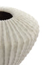 Light & Living Accessories Vase deco 55x45 cm CACTI beige House of Isabella UK