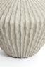 Light & Living Accessories Vase deco 66x53 cm CACTI beige House of Isabella UK