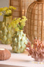 Light & Living Accessories Vase deco 9,5x13 cm TAYA ceramics yellow-green House of Isabella UK