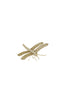 Light & Living Accessories Wall ornament 25x22x7 cm DRAGONFLY gold House of Isabella UK