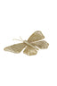 Light & Living Accessories Wall ornament 40x25x8 cm BUTTERFLY gold House of Isabella UK