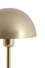 Light & Living Lighting Table lamp 20x34 cm CEDILLO metallic matt light gold House of Isabella UK