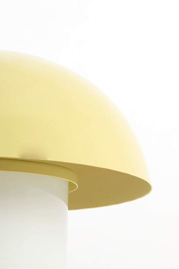 Light & Living Lighting Table lamp 30x25 cm ANIVA shiny light green House of Isabella UK