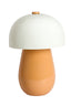 Light & Living Lighting Table lamp 30x45 cm LINOR shiny orange House of Isabella UK