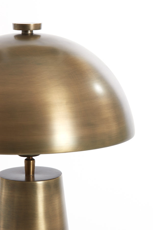 Light & Living Lighting Table lamp 31x52 cm DITA antique bronze House of Isabella UK