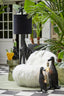 Light & Living Lighting Table lamp 32x31x65 cm DUCK black House of Isabella UK