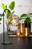 Light & Living Lighting Table lamp E14 28x17x50,5 cm RAKEL matt black+smoked House of Isabella UK