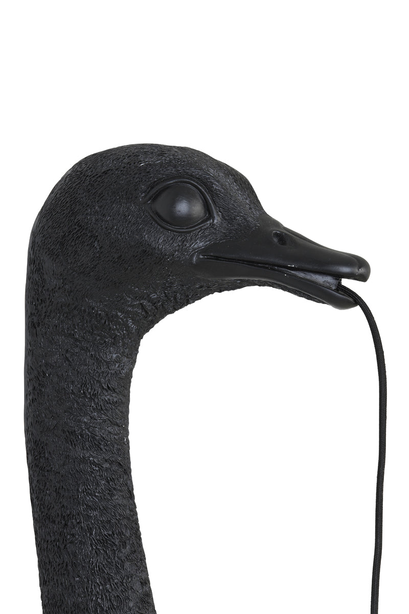 Light & Living Lighting Wall lamp 18x15,5x57,5 cm OSTRICH matt black House of Isabella UK