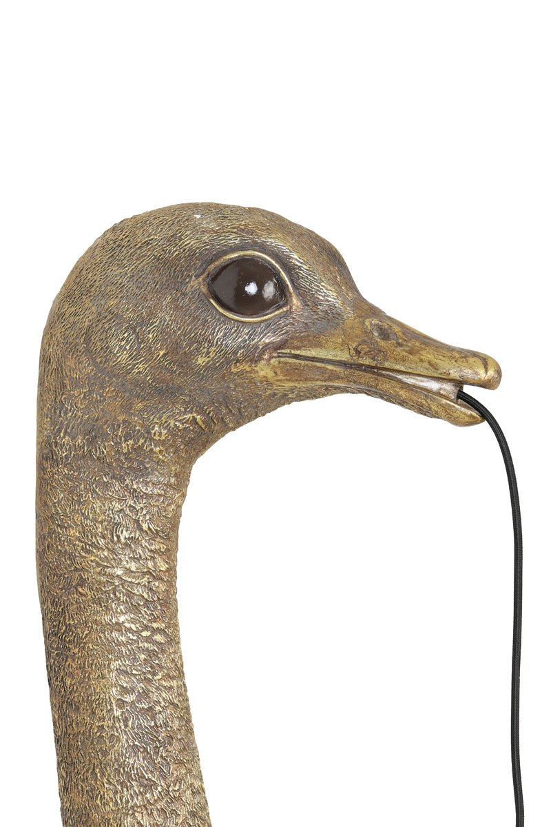 Light & Living Lighting Wall lamp 25x19x72 cm OSTRICH antique bronze House of Isabella UK