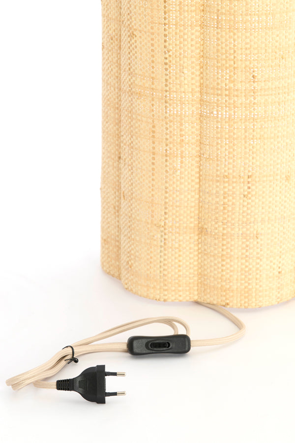 Light & Living Lighting Wall lamp 26x15,5x40 cm VERDANTIA raffia natural House of Isabella UK