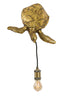 Light & Living Lighting Wall lamp 35x26x20 cm TURTLE bronze House of Isabella UK