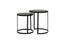Light & Living Living Side table S/2 41x46+49x52 cm TRELO antique bronze-black House of Isabella UK