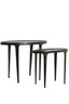 Light & Living Living Side table S/2 55x25,5x44+70x33x53 cm ARICA matt black House of Isabella UK