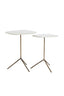 Light & Living Living Side table S/2 max 37,5x37,5x54 cm GIA trav white+d brn-brnz House of Isabella UK