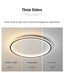 Light My House LED Ring Flush Mount Chandelier - Dimmable Ceiling Light Black/White House of Isabella UK
