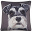 Malini Accessories Benny Cushion House of Isabella UK
