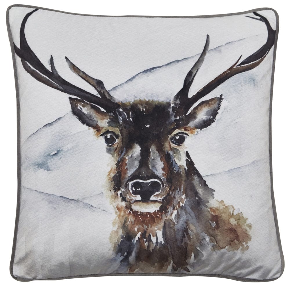 Malini Boris Cushion.