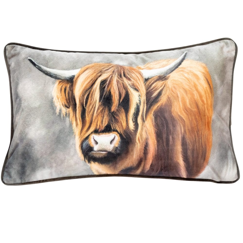 Malini Clyde Cushion.
