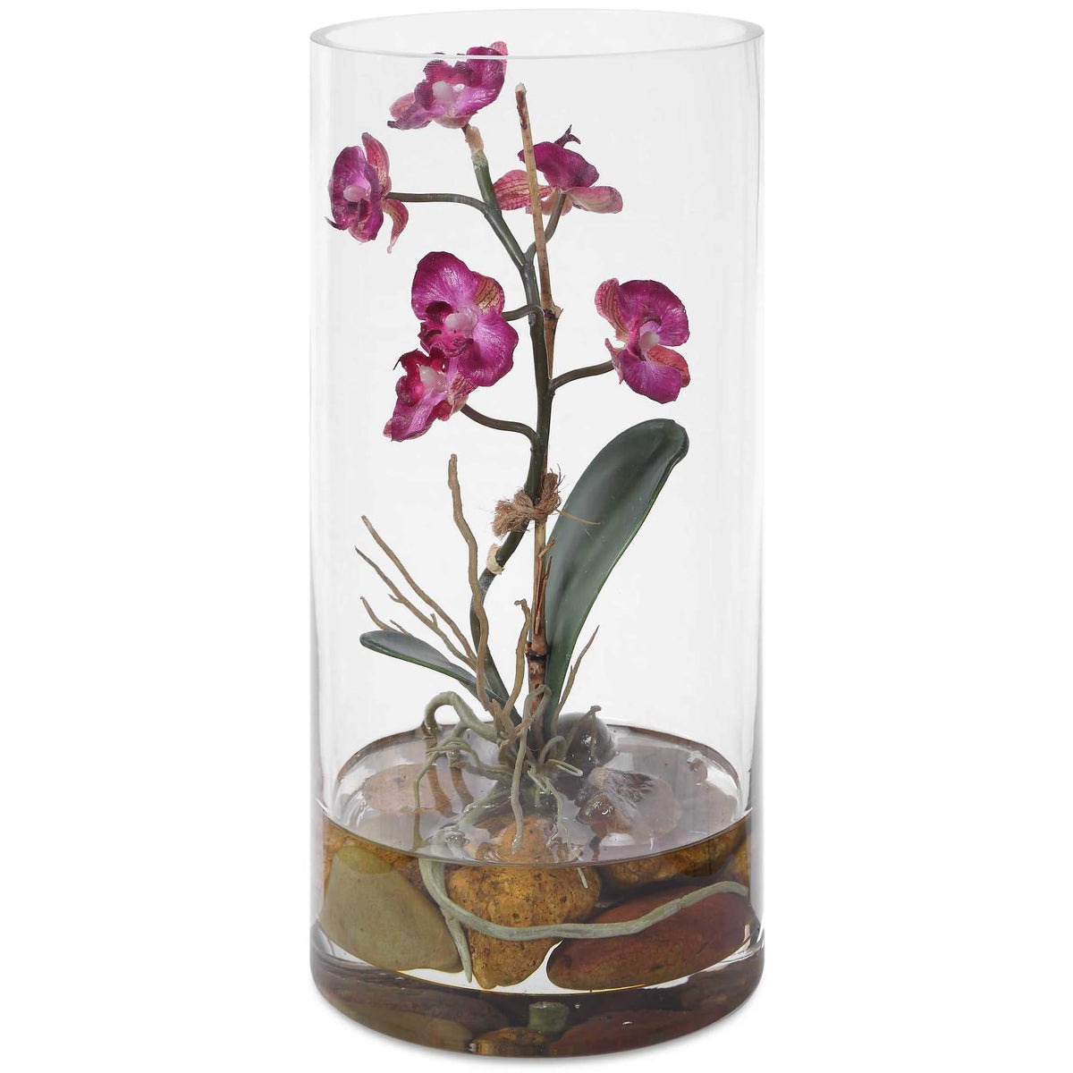 Mariposa Fuchsia Orchid