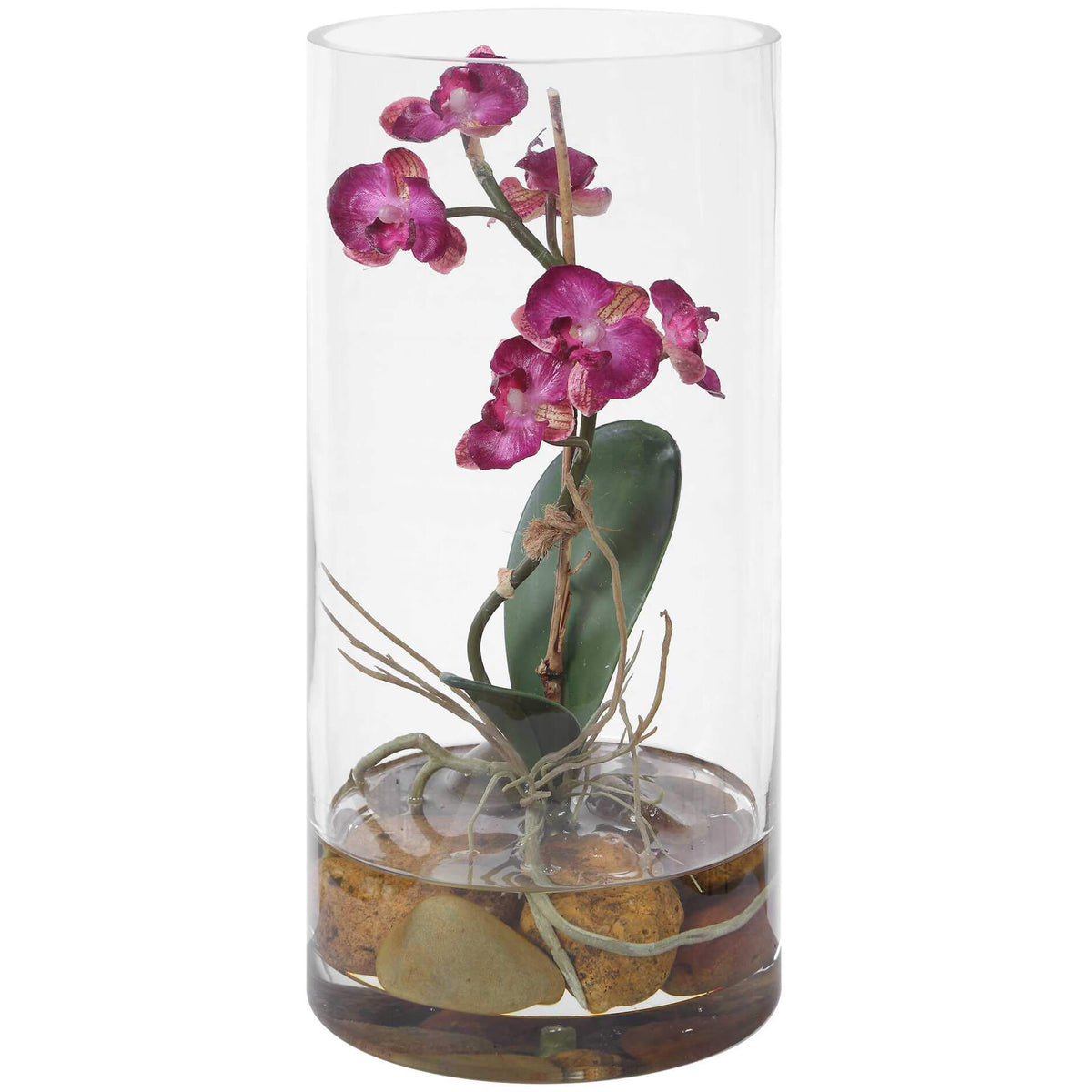 Mariposa Fuchsia Orchid