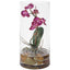 Mariposa Fuchsia Orchid