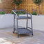 Maze Outdoors Aluminium 2-tier Trolley / Grey House of Isabella UK