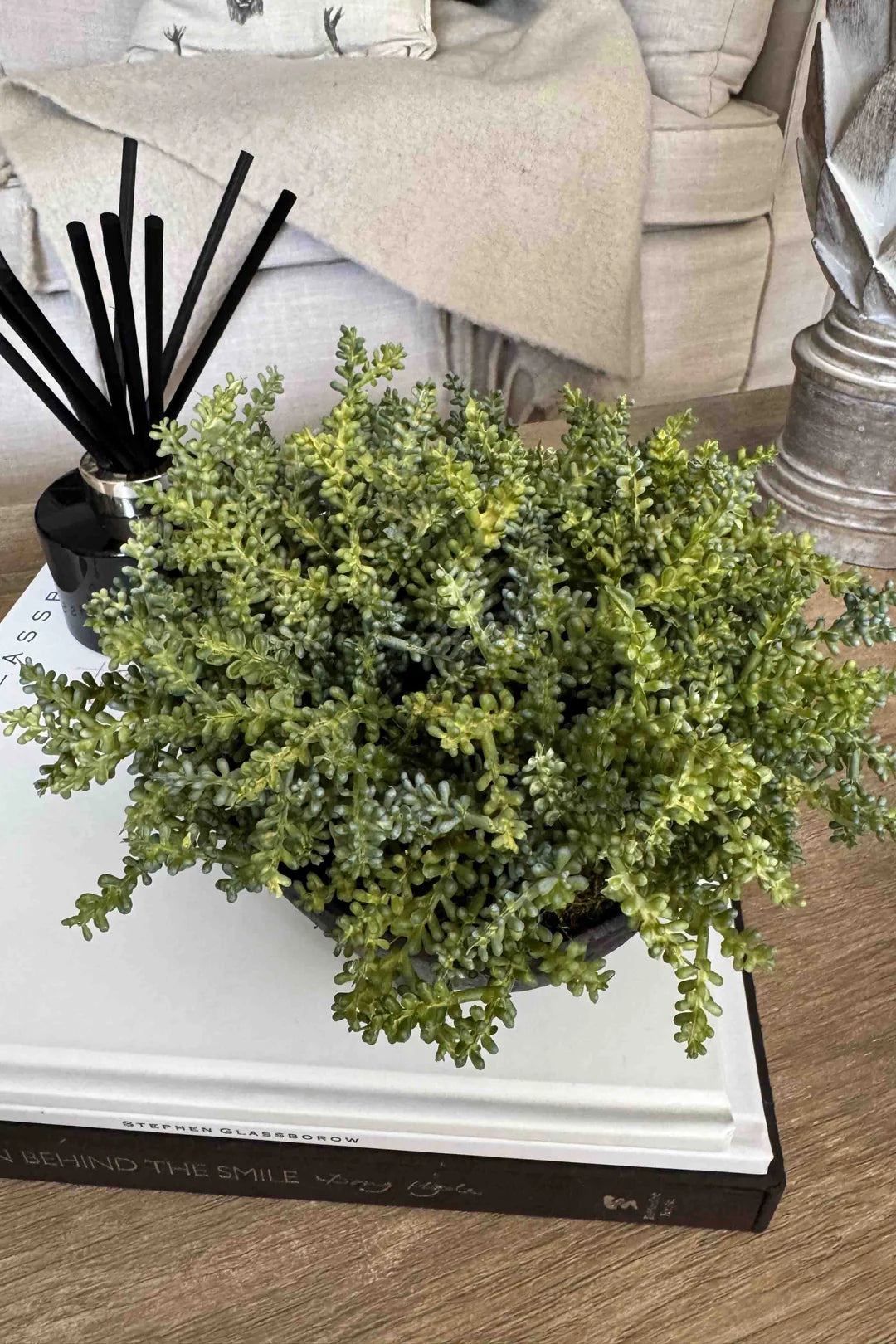 Mini Plant in a Black Footed Bowl