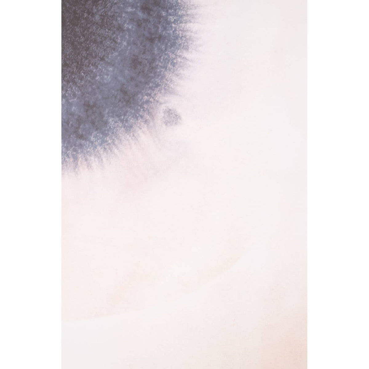 Astratto Canvas Classic Wall Art.